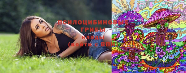 прущая мука Армянск