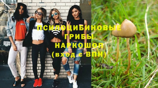 марки nbome Аркадак
